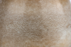 Keramische urn Sandy White beige met ovale vorm
